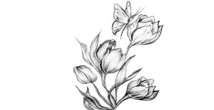 Flowers Drawings Inspiration : Pencil Sketch Drawing Of Fl… | Flickr-saigonsouth.com.vn