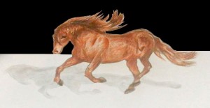 Read more about the article How to Draw 3d Horse – Step By Step