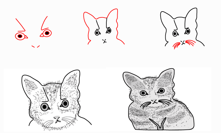Cat face Drawing step by step