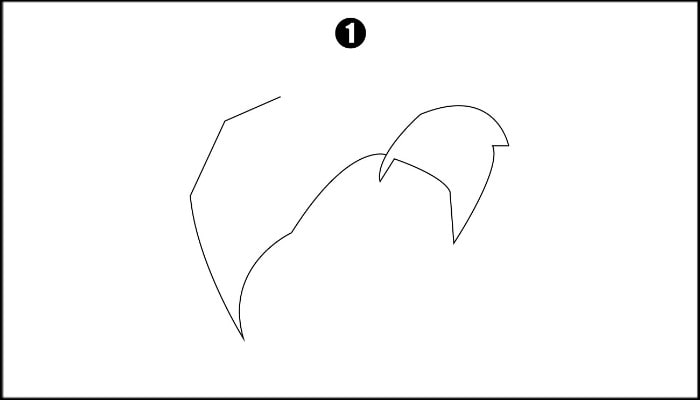 Drawing of Goku step1