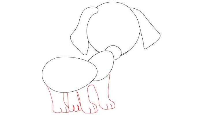 How to Draw A Puppy step6