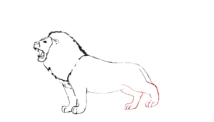 How to draw a lion Step4