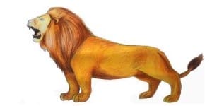 Read more about the article How To Draw a Lion – Step By Step