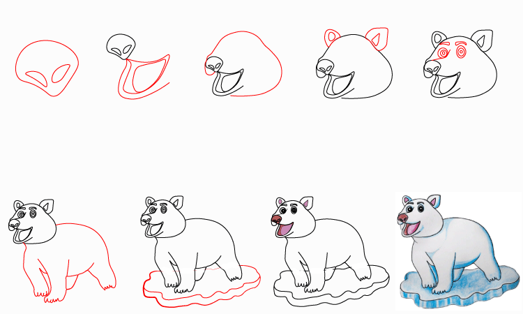Pig Drawing Tutorial