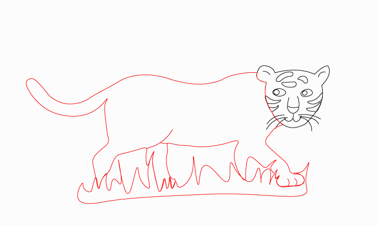 Tiger Drawing step 2