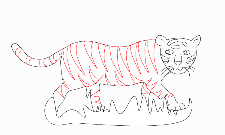 Tiger Drawing step 3