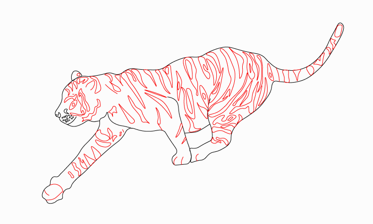 tiger pencil sketch