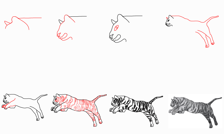 Tiger Sketch tutorial
