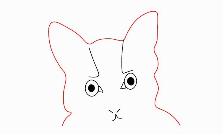 Cat face drawing