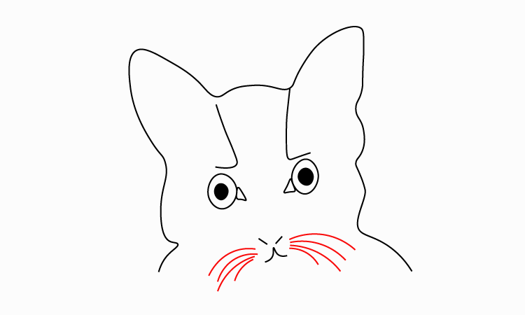 Cat face drawing
