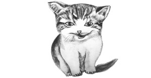 Easy To Draw Cat - Step By Step - Cool Drawing Idea