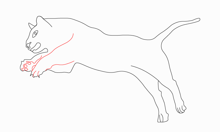 tiger pencil drawing 