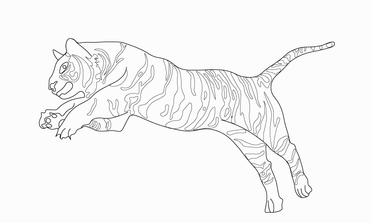 tiger sketch ideas