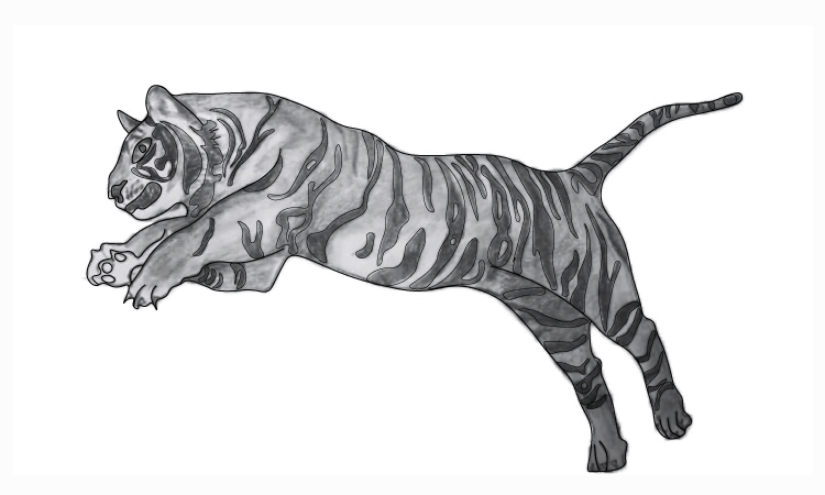 Tiger drawing ideas