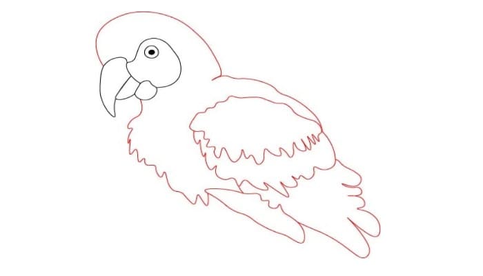 How To Draw Parrot Step2