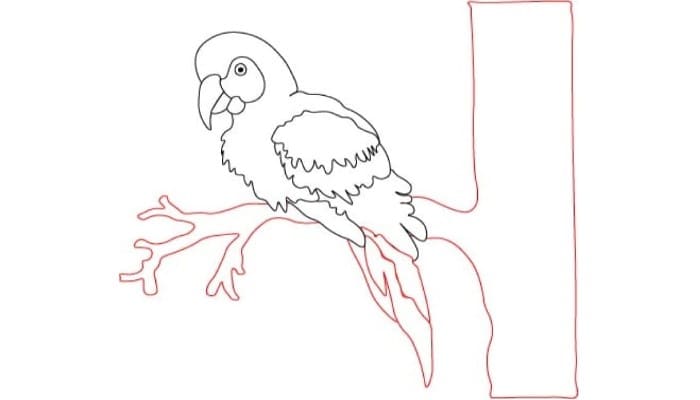 How To Draw Parrot Step3