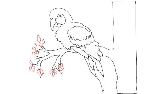 How To Draw Parrot Step4