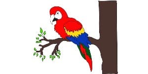 You are currently viewing How to Draw Parrot – Step By Step