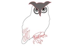 how to draw owl