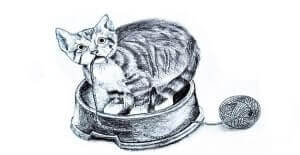 Read more about the article How To Draw A Cat – Easy Drawing