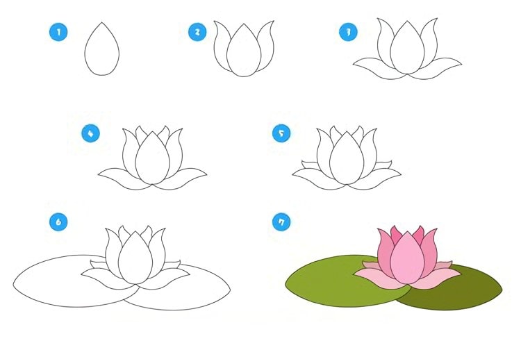 Lotus Flower Drawing - Step By Step Guide - Cool Drawing Idea