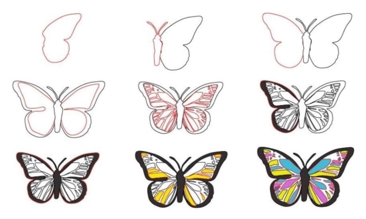 colorful butterfly sketch easy