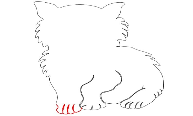 Cat Cartoon Drawing Step4