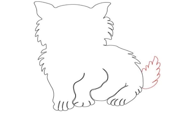 Cat Cartoon Drawing Step5
