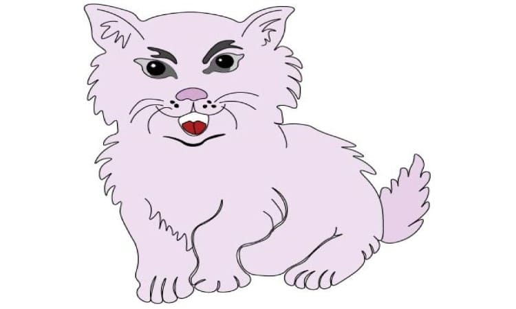 Cat Cartoon Drawing