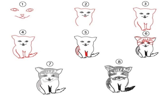 Cat Drawing Step By Step
