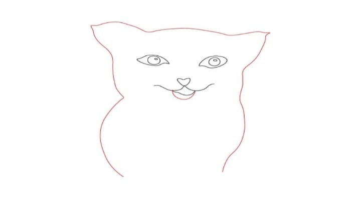 Cat Drawing Step2