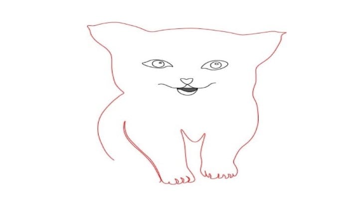 Cat Drawing Step3