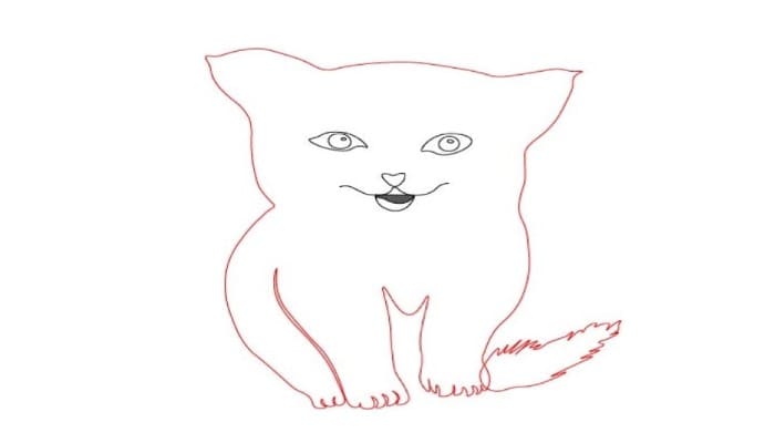 Cat Drawing Step4