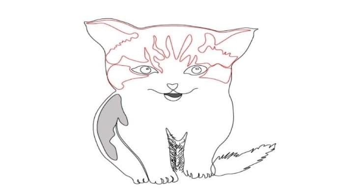 Cat Drawing Step6