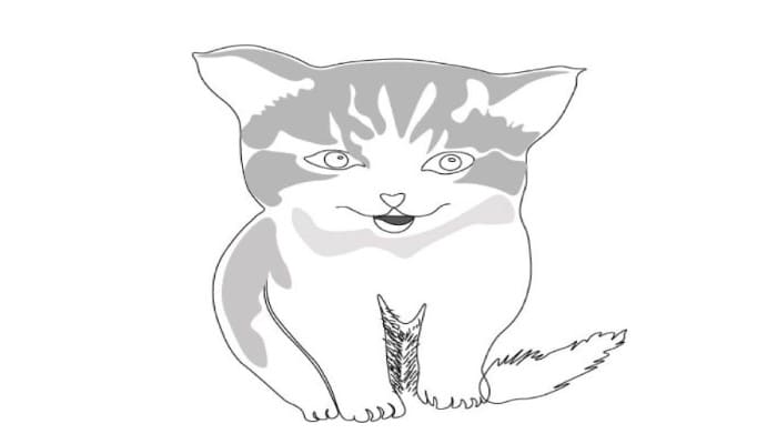 Cat Drawing Step7