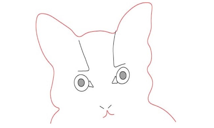 Cat Face Drawing Step2