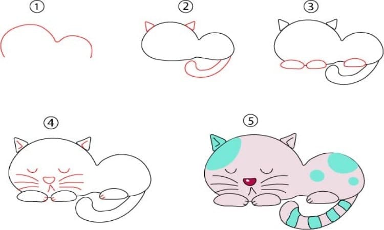 Cat Line Drawing Step By Step