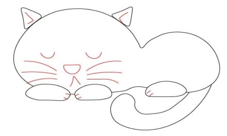Cat Line Drawing Step4