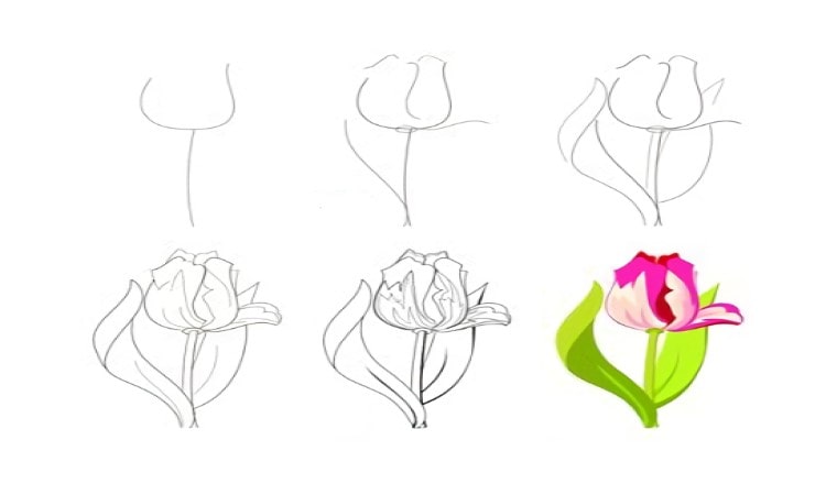 Realistic Rose Drawing - Step By Step Tutorial - Cool Drawing Idea