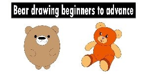 Read more about the article Bear Drawing – Step By Step ( Beginner To Advance )