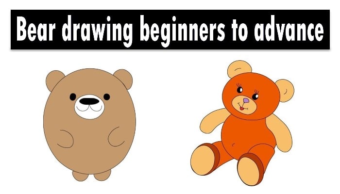 Bear Drawing  How To Draw A Bear Step By Step