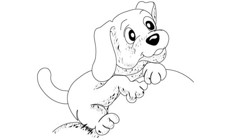 Cartoon Dog Drawing step7