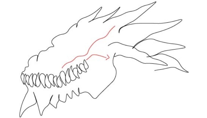 Chinese Dragon Drawing step3