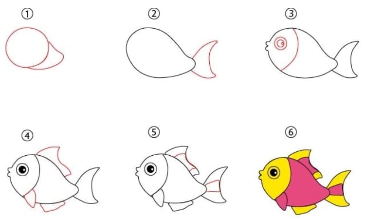 Cute Fish Drawing Step by Step
