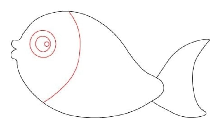 Cute Fish Drawing Step3