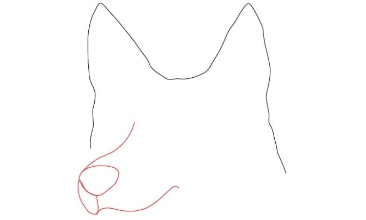 Dog Face Drawing step2