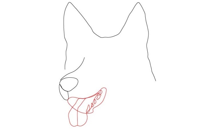 Dog Drawing - Step By Step Tutorials - Cool Drawing Idea