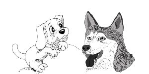 You are currently viewing Dog Drawing – Step By Step Tutorials