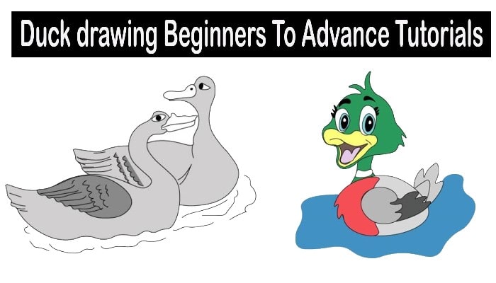How to Draw an Easy Mallard Duck - Really Easy Drawing Tutorial-saigonsouth.com.vn