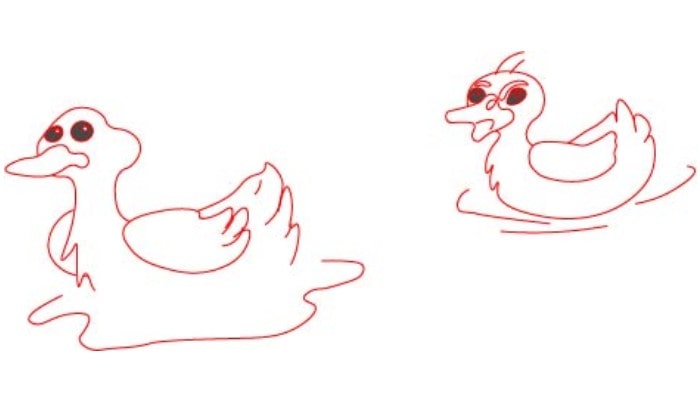 Easy Duck Drawing step1